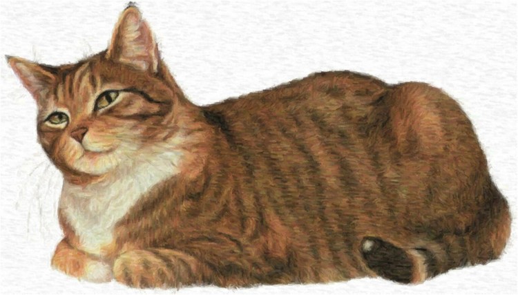 Рыжий кот мультяшный