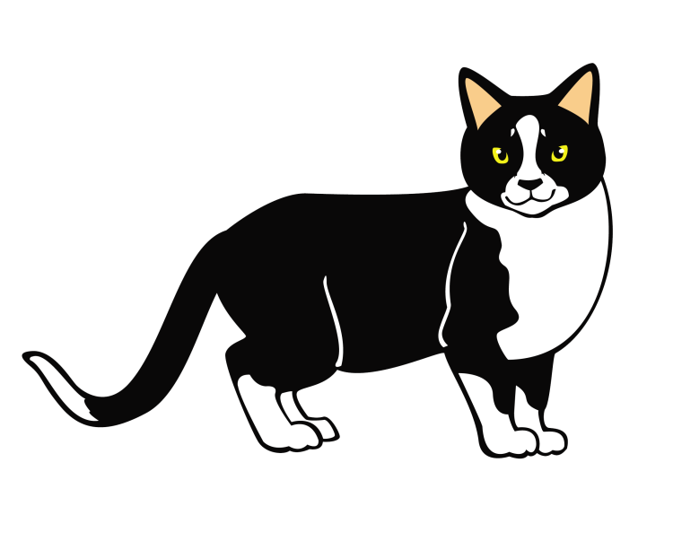 Рыжий котенок мультяшный