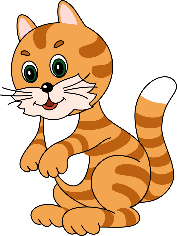 Кошка на белом фоне