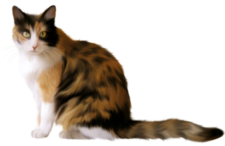 Мультяшный кот