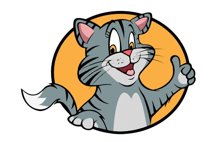 Кот на белом фоне