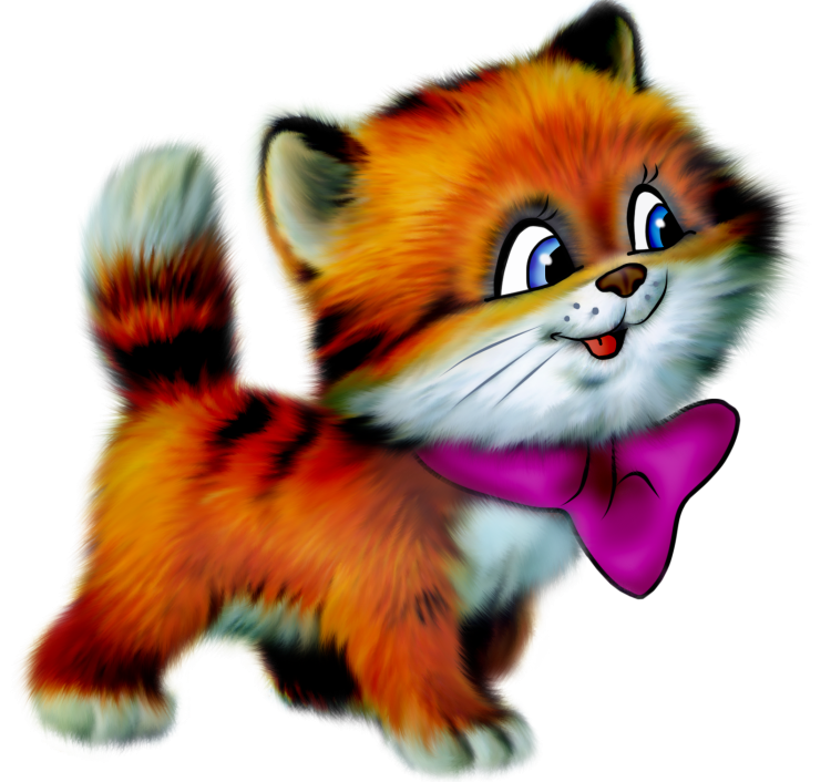 Кошка без фона