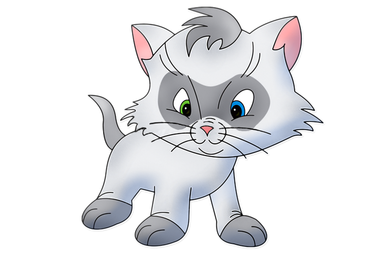 Кошка на прозрачном фоне