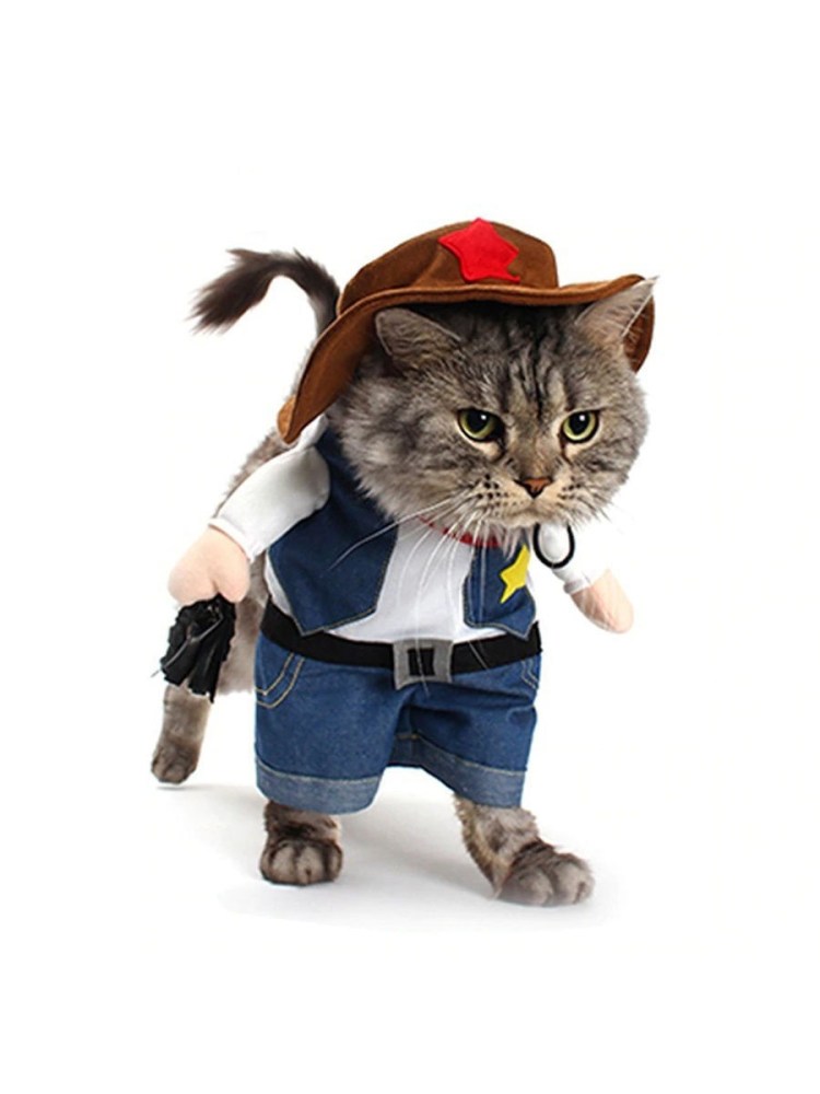 Костюм для кота с гитарой