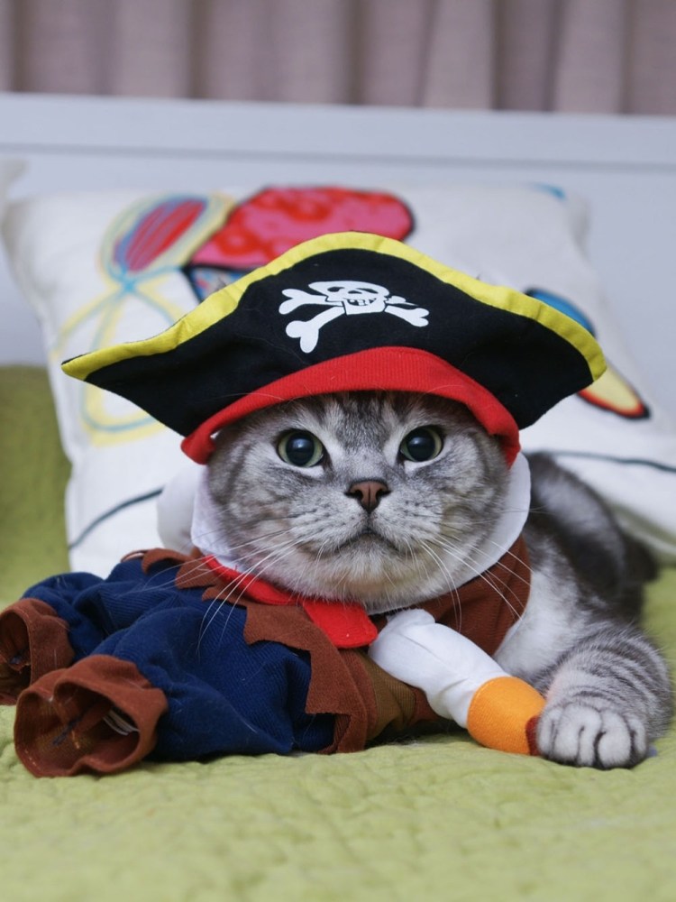 Костюм кошки