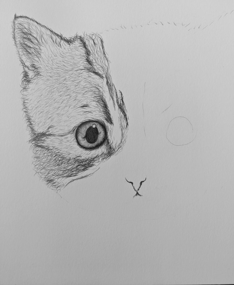 Смешные рисунки карандашом