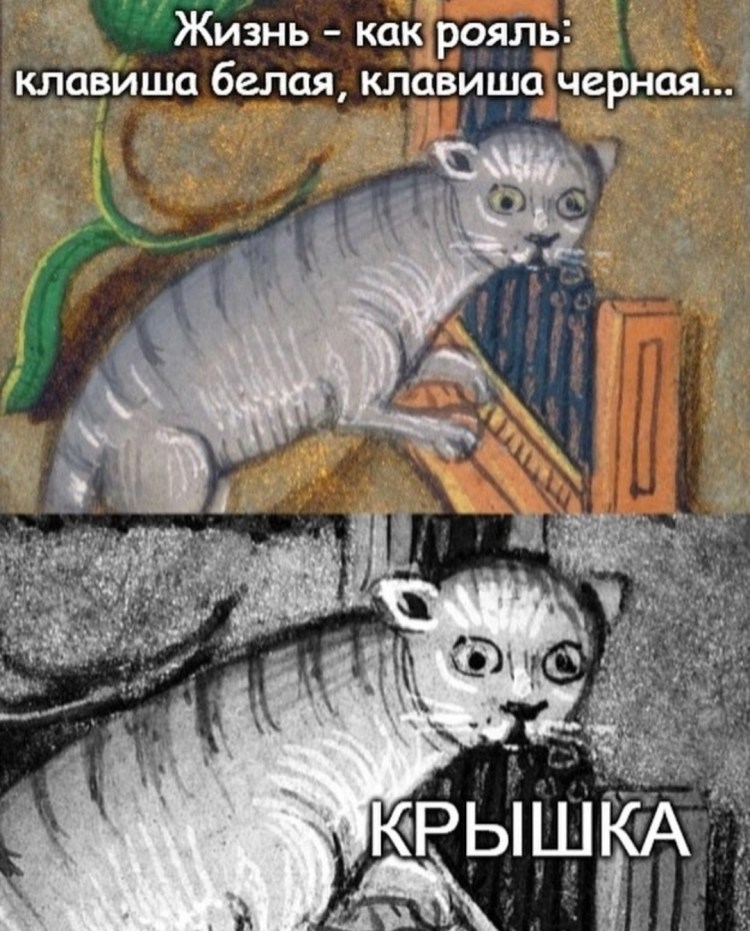Орущий кот Мем