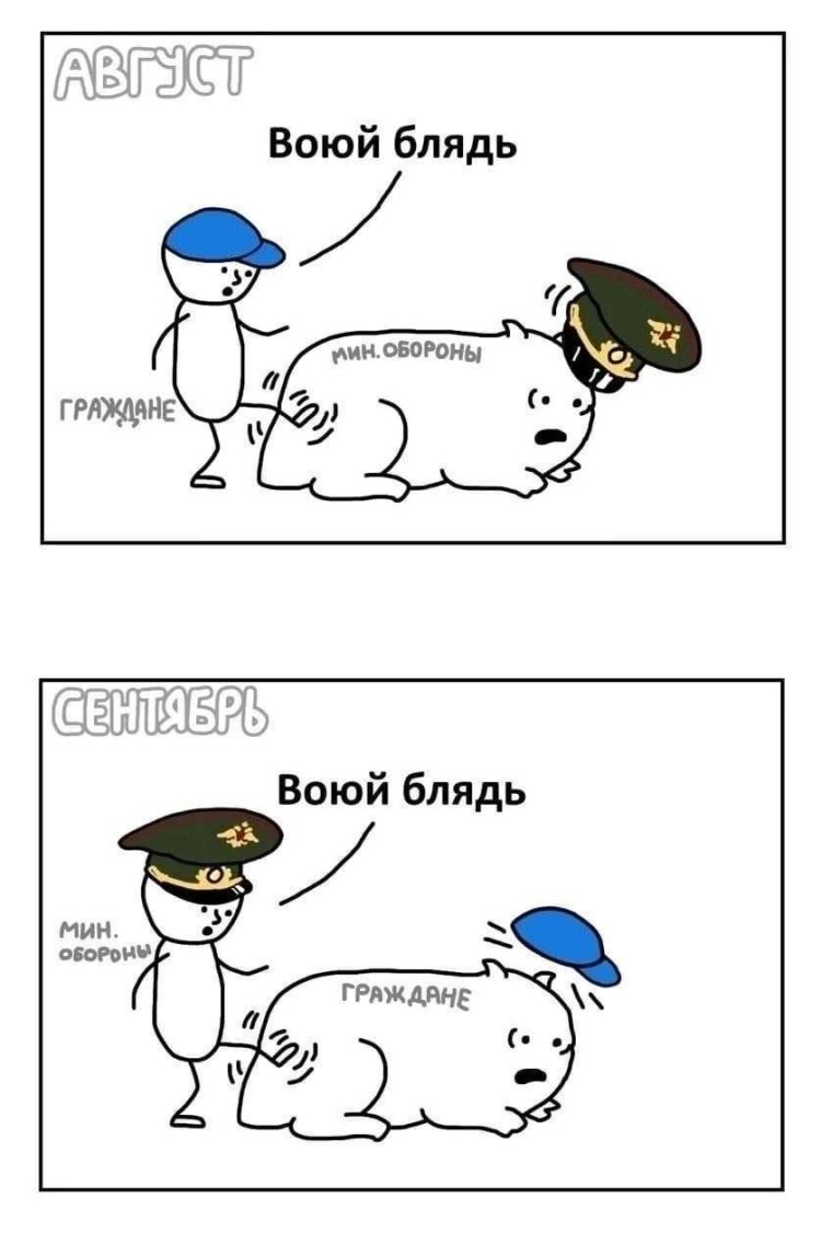 Из за чего орут коты