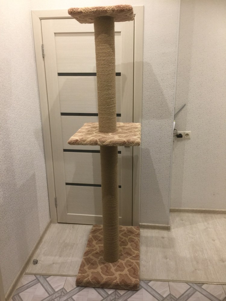 Дом для кота из подручных средств