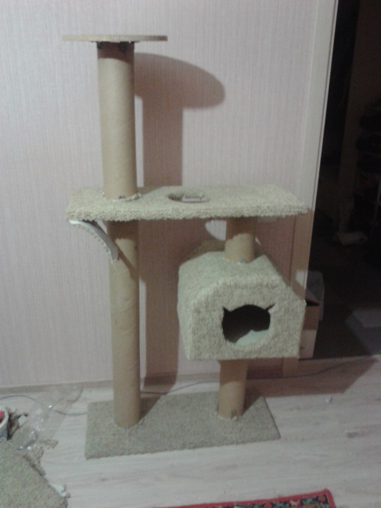 Когтеточки для кота