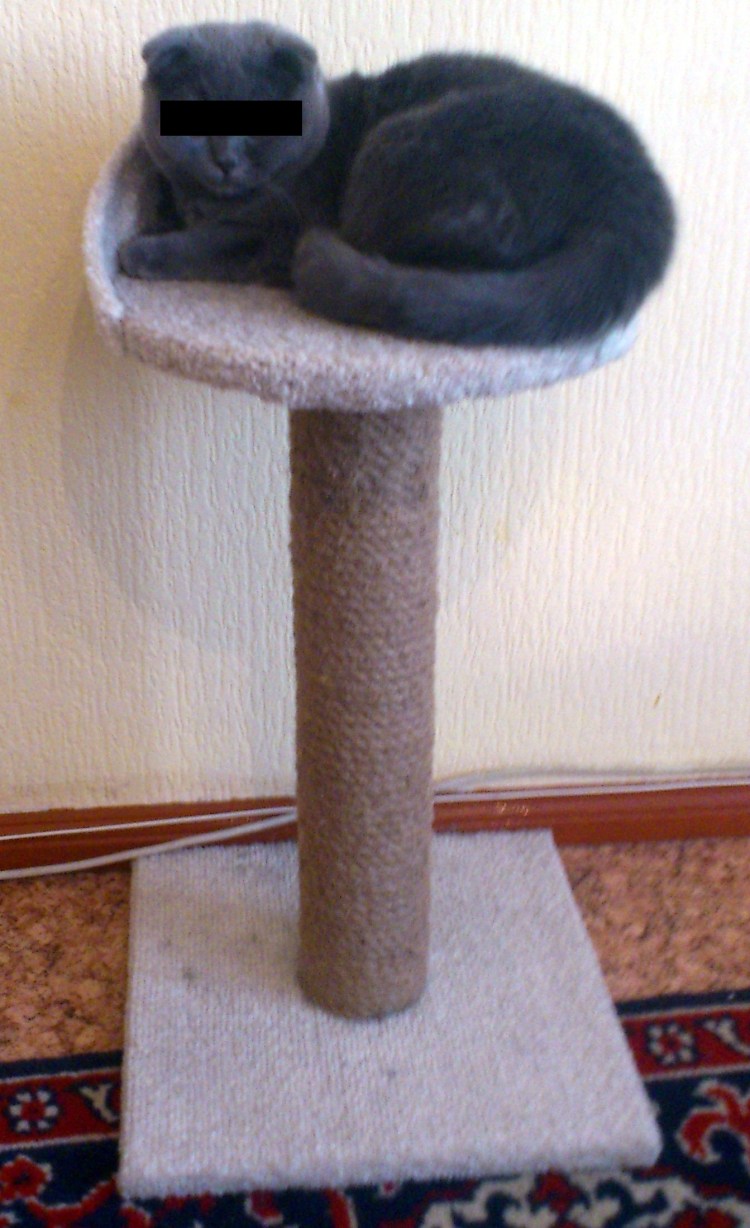 Кошачий домик из шпагата