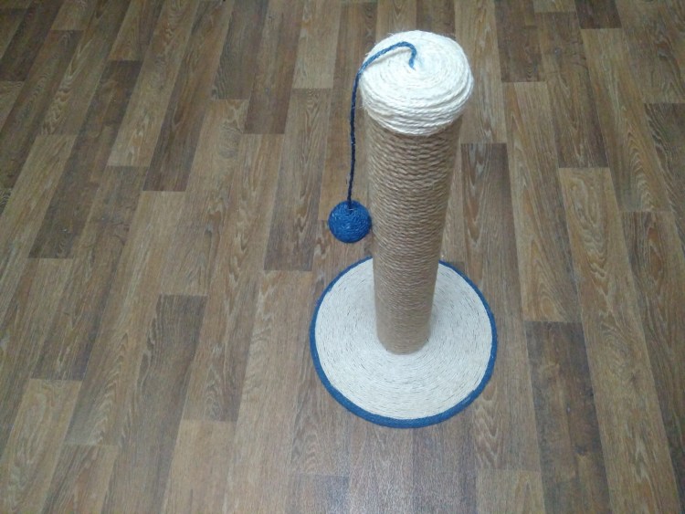 Когтеточка для шотландского кота