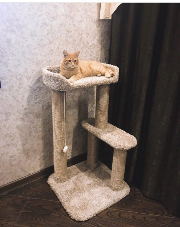 Когтеточка для кошек
