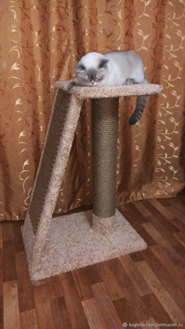 Котомастер домики