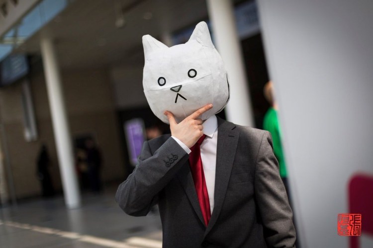 Кот в галстуке