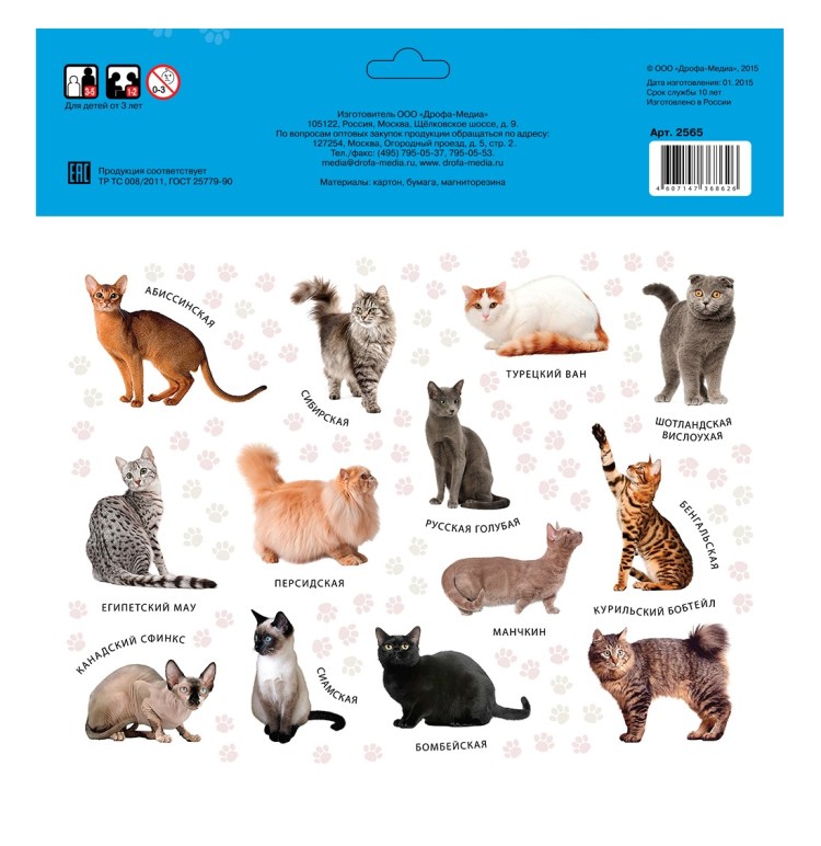 Породы кошек плакат