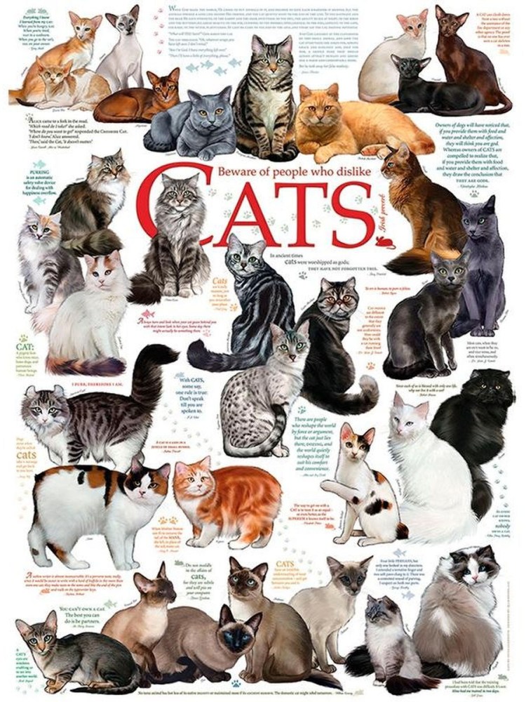 Породы кошек с описанием