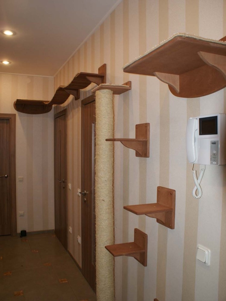 Бекецкий Николай настенный комплекс для кошек