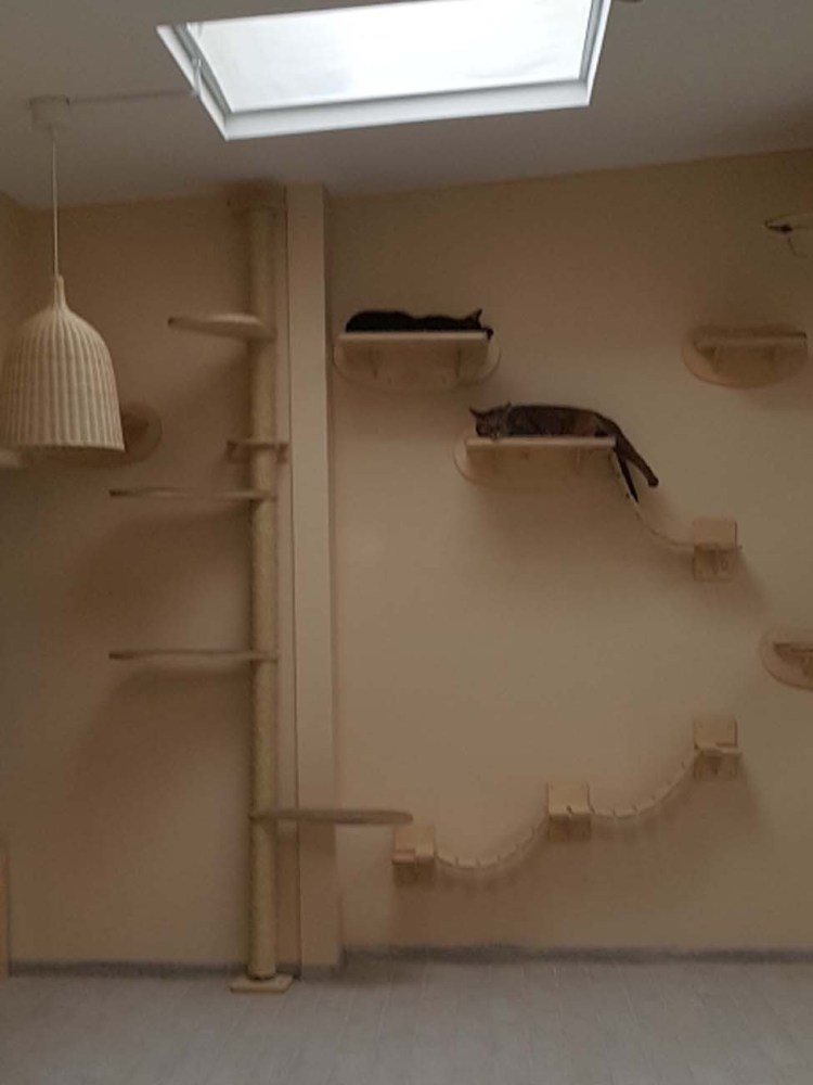 Комплекс для кошек Zoom 8129с