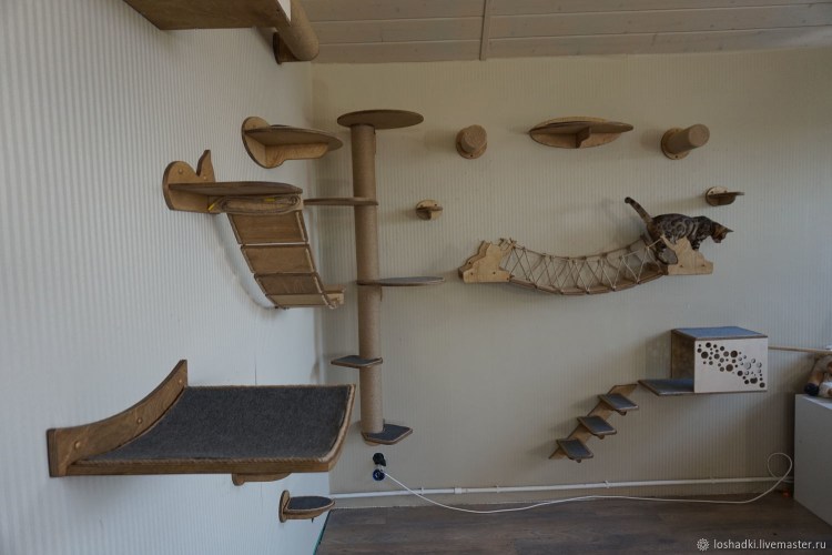 Игровые комплексы для под потолок кошки