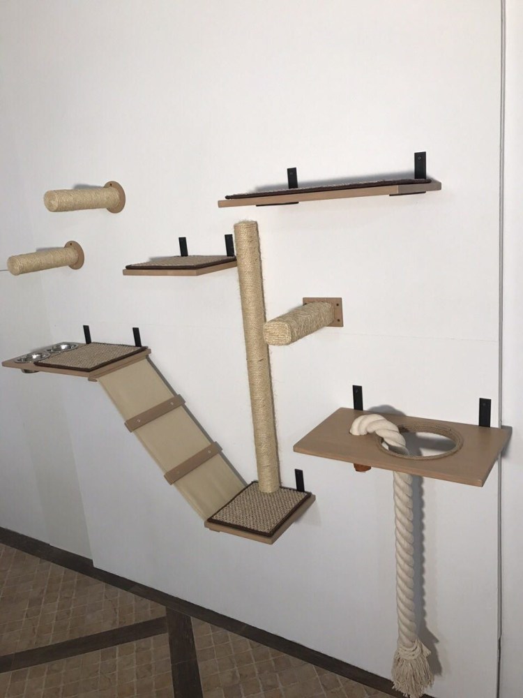 Лазалки для кошек