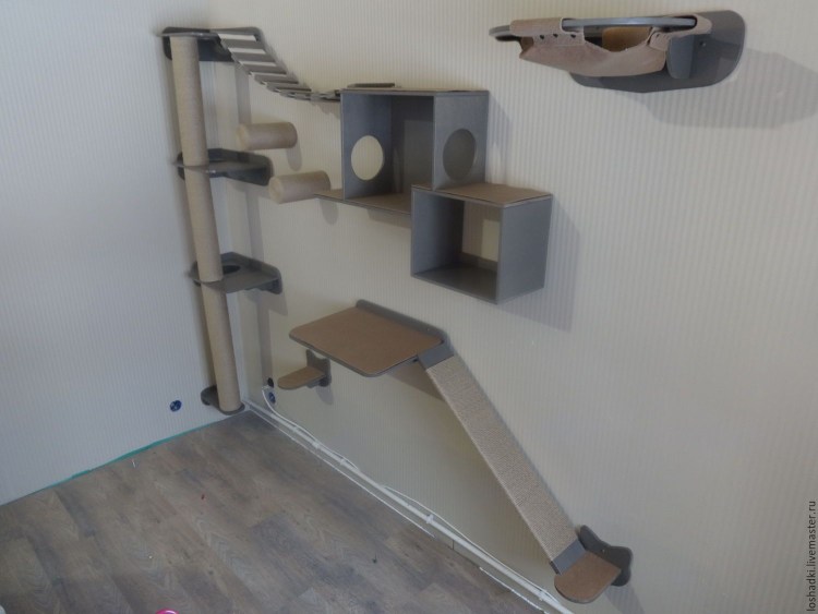 Игровая комната для кошек