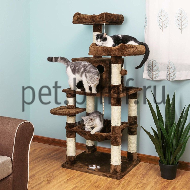 Настенный комплекс для кошек