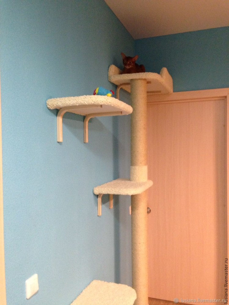 Кошачий игровой комплекс на стену