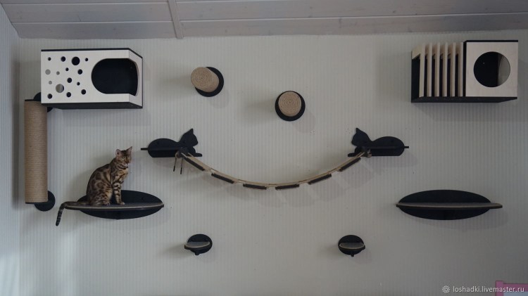 Бекецкий Николай настенный комплекс для кошек