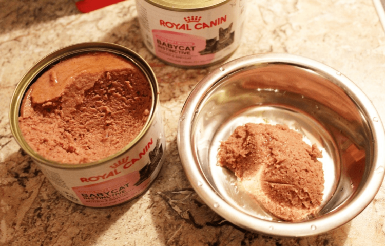 Мусс для котят до 4 мес., mother & Babycat Ultra Soft Mousse нормы кормления