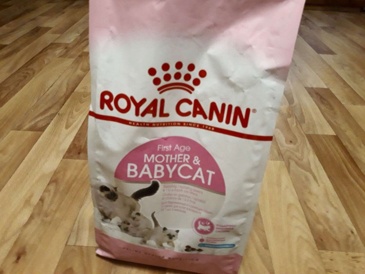 Royal Canin бэби Кэт (мусс) 195 г