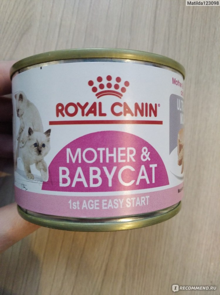 Royal Canin mother Babycat паштет