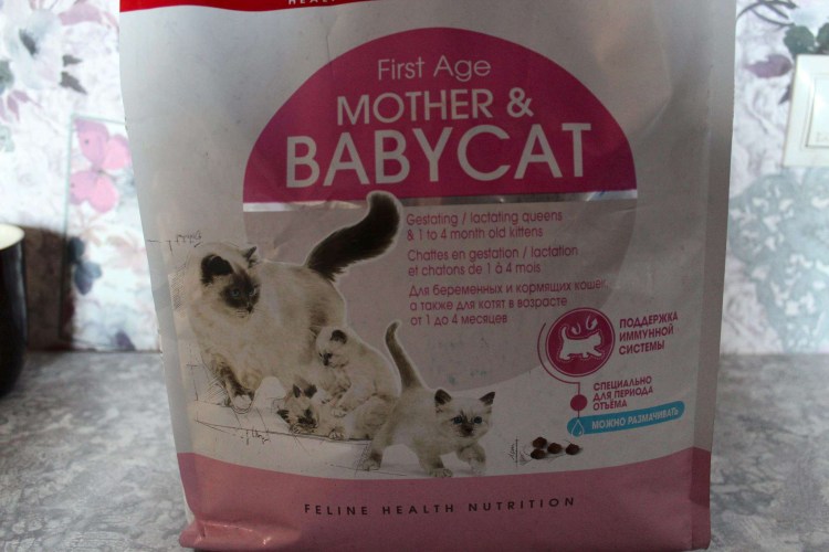 Роял Канин бейби Кэт