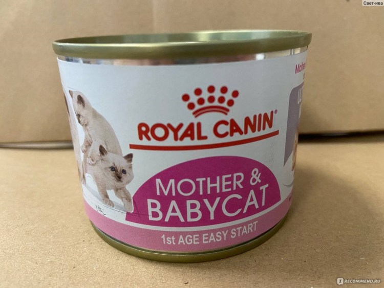 Royal Canin Babycat мусс
