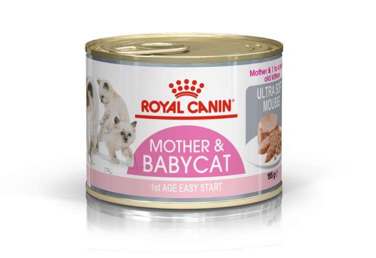 Роял Канин для котят от 1 до 4 паштет