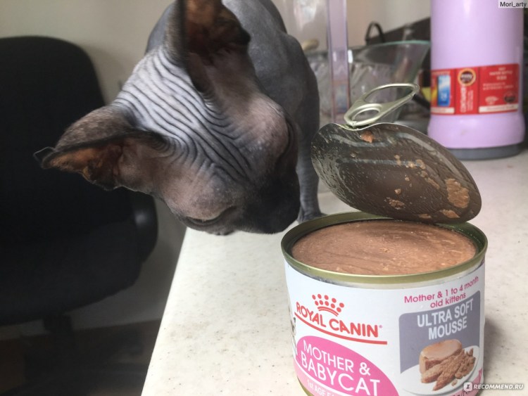 Ветеринар советует корм