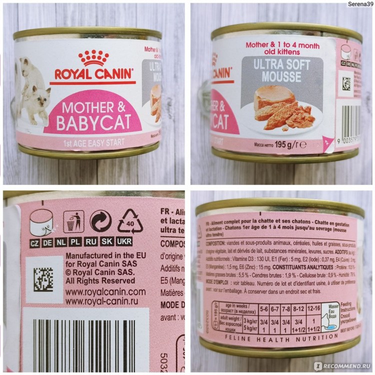Royal Canin Babycat паштет