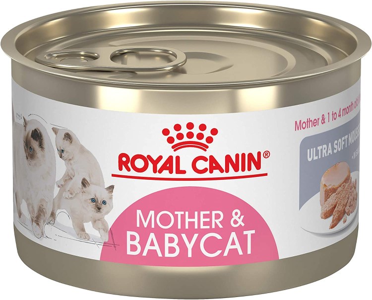 Royal Canin mother Babycat паштет
