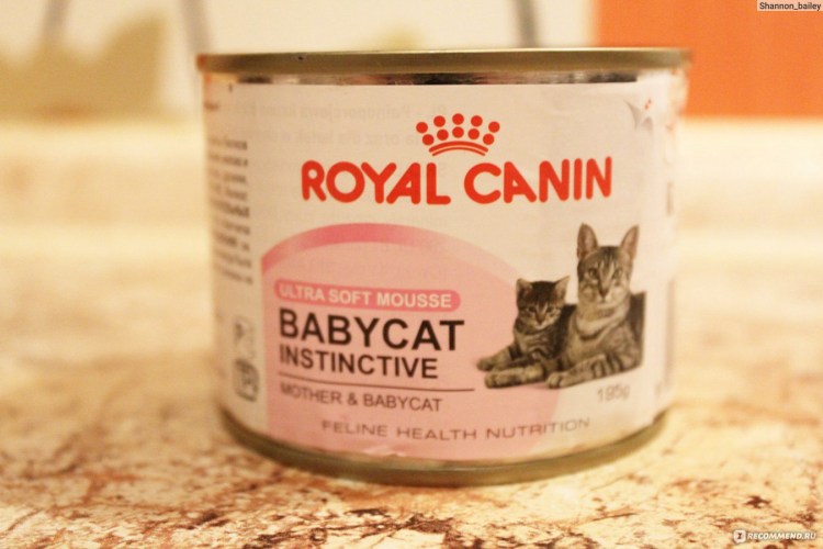 Royal Canin mother Babycat паштет