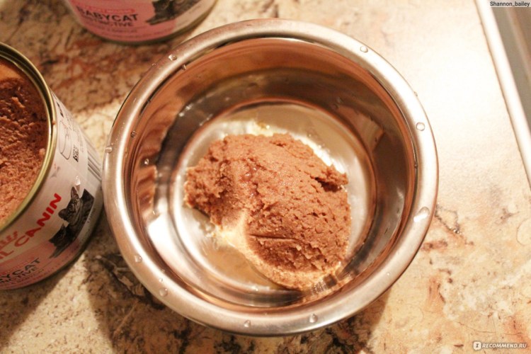 Royal Canin Starter Mousse