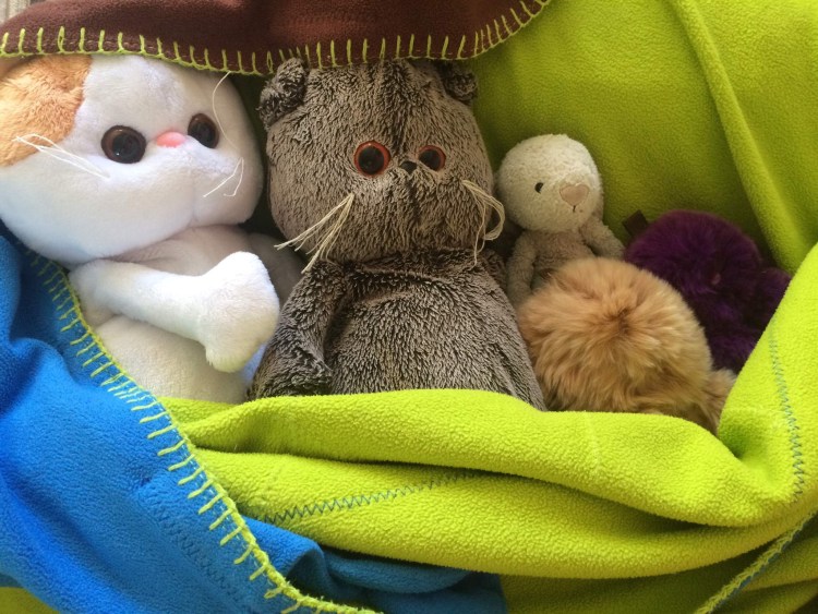 Басик с подушкой