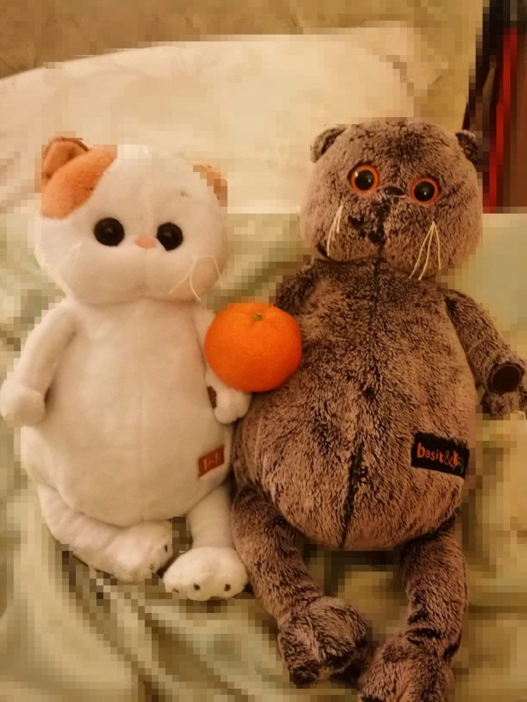 Басик Басик и Лили