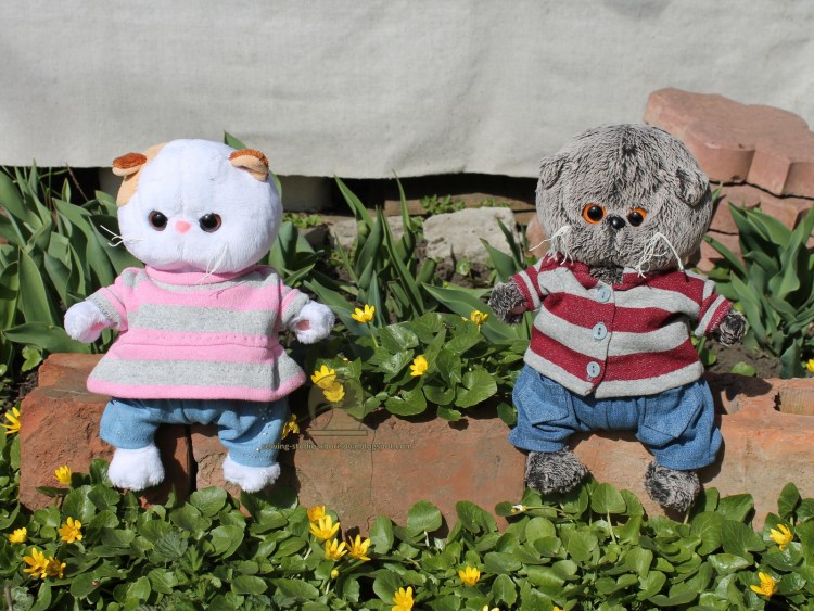 Басик на прогулке