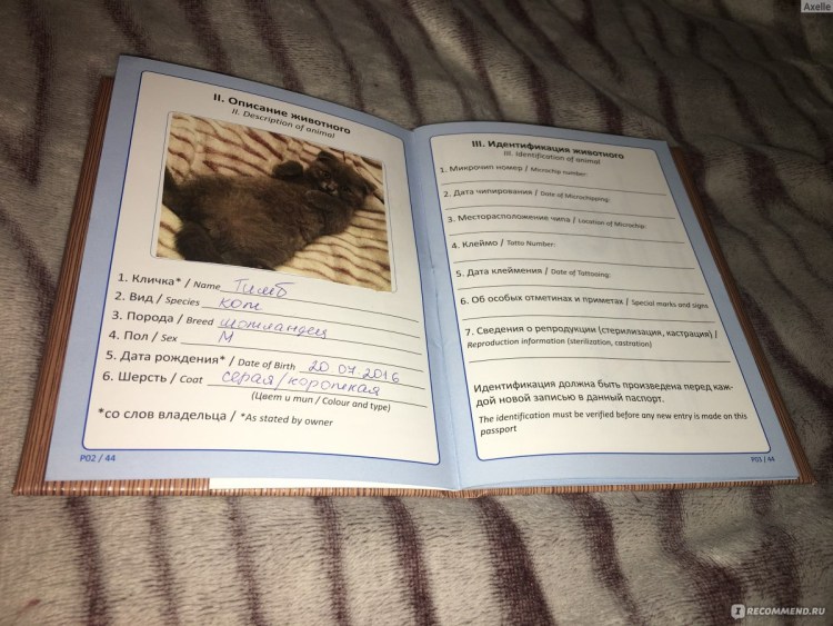 Обложка на паспорт котик я все