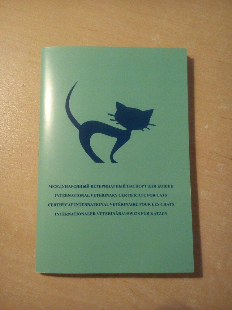 Паспорт кота