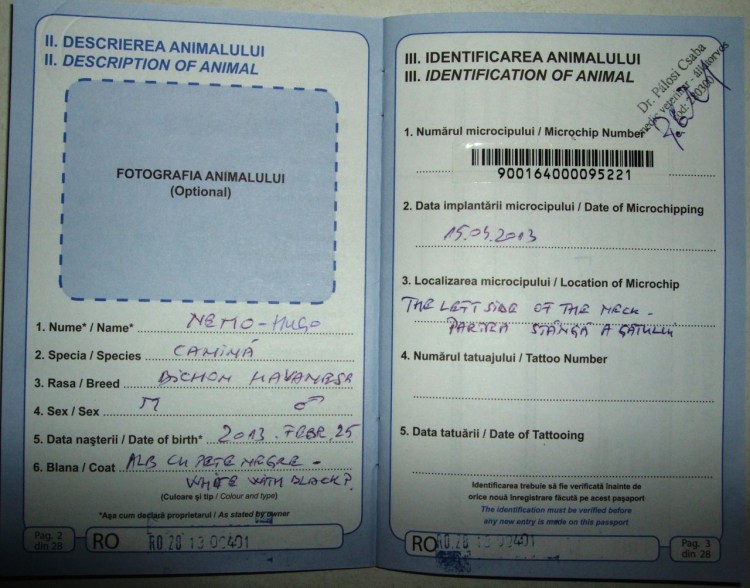 Ветпаспорт для кошки