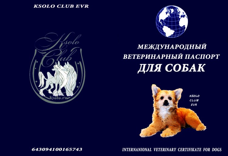 Заполнение ветеринарного паспорта