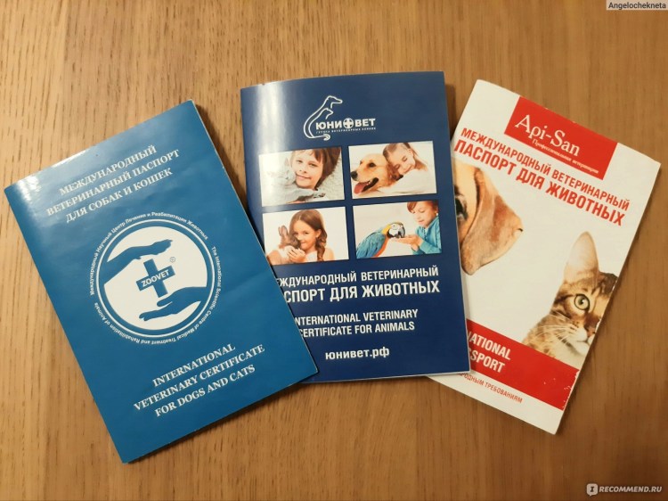 Ветеринария Узбекистан