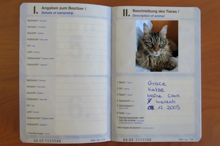 Международный вет паспорт собаки