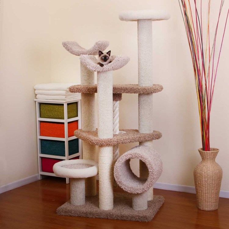 Кошки для лазания